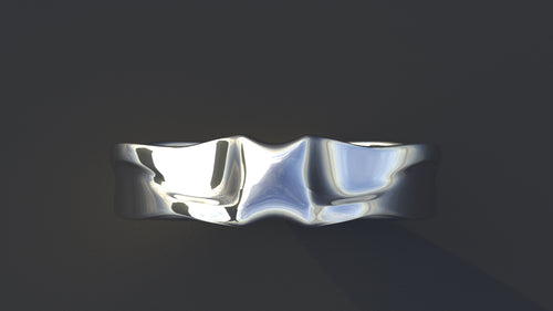 EXP.1